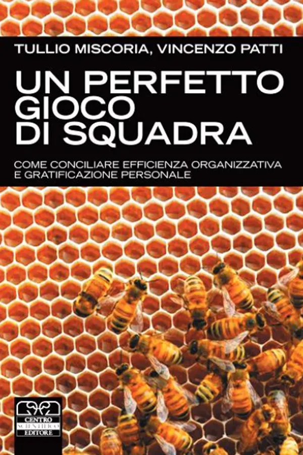 Un Perfetto Gioco Di Squadra